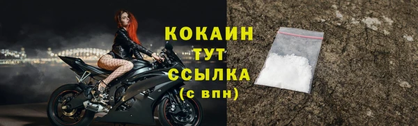кокс Белокуриха