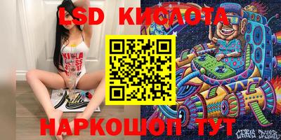 крисы Дубна