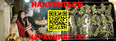 крисы Дубна