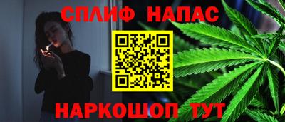 прущие крисы Донецк