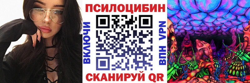 hydra зеркало  Луховицы  Псилоцибиновые грибы Psilocybe 