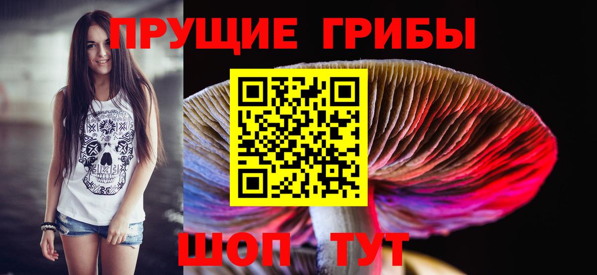 Псилоцибиновые грибы прущие грибы  Вход с VPN  Псилоцибиновые грибы прущие грибы  Луховицы 